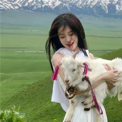 贪婪2019