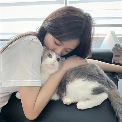朱迪之夏